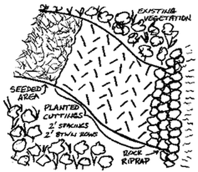 Stream bank erosion controls