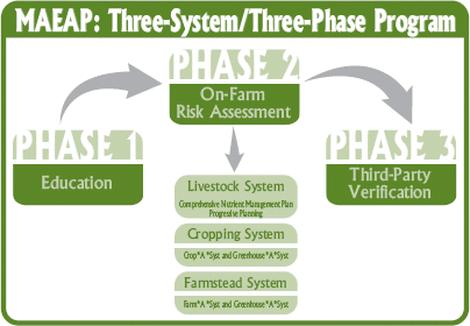 graphic of phase 1, 2, and 3