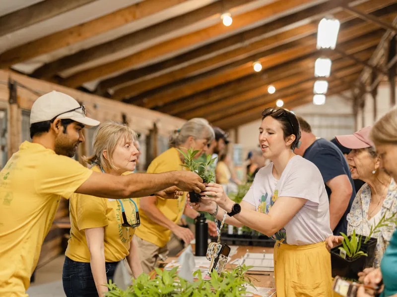 Staff giving away milkweed at native plants event.