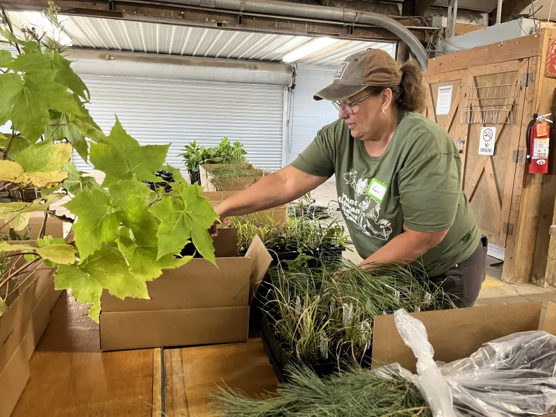 Volunteer at fall sale