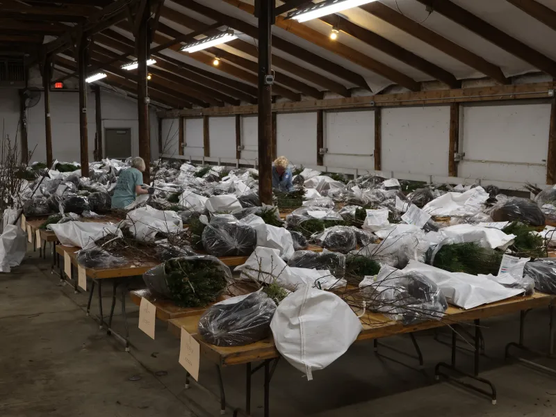 Tree orders