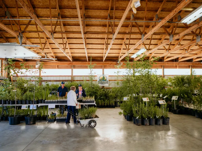 Nursery vendors at Native Plant Expo