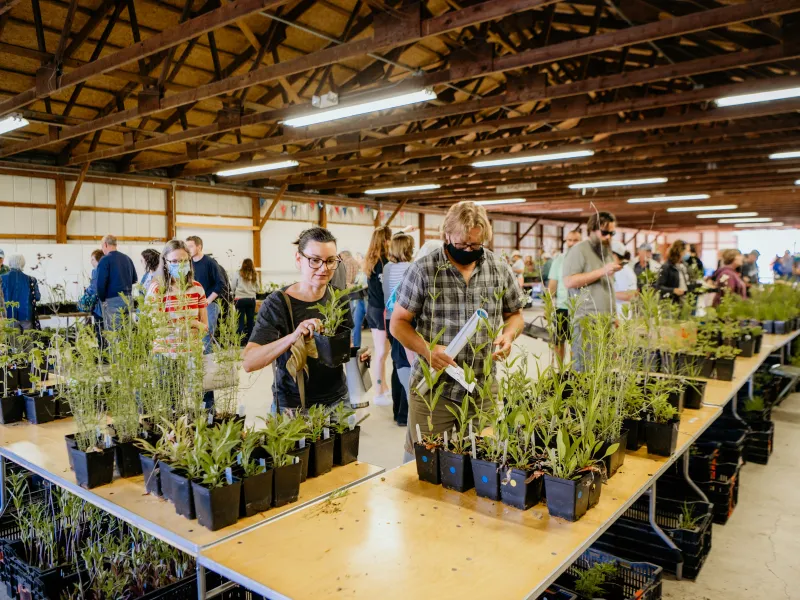 native plant expo customers