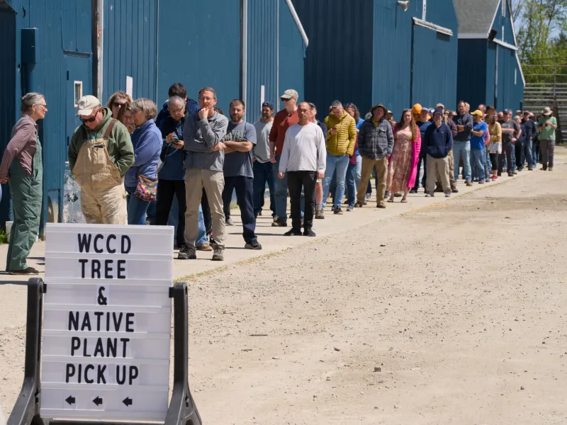 Customers lined up for tree sale (Photo Credit: Paul Michael Peters)