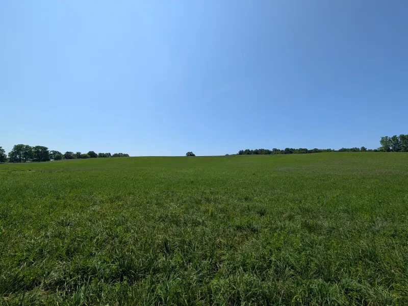 hay field
