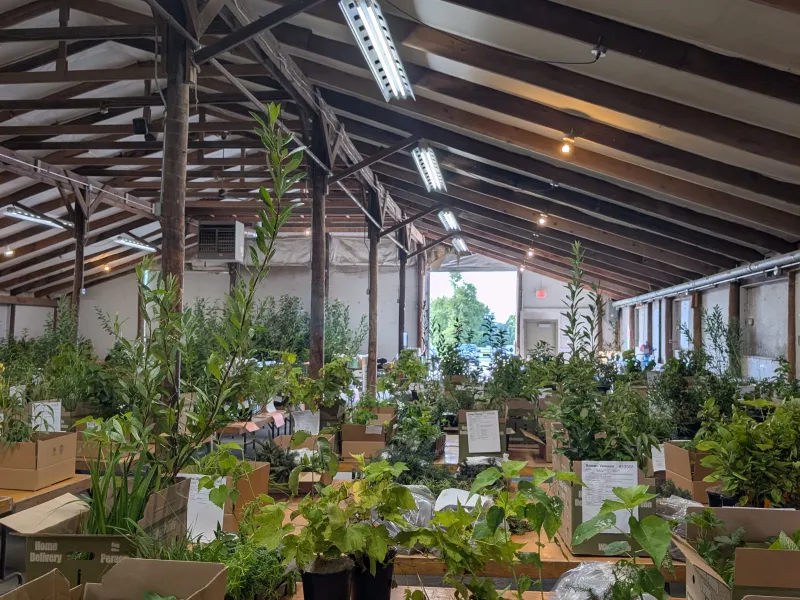 plant orders