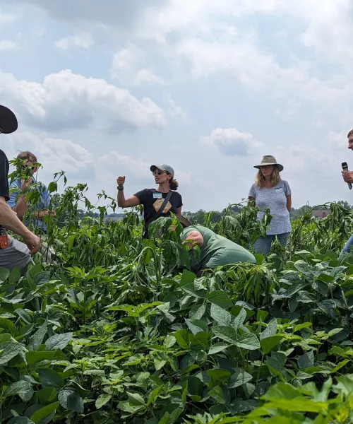 A small group of people conducting training in a field.