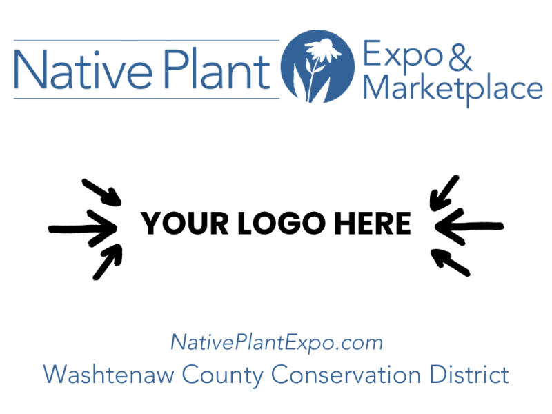 banner with mockup logo