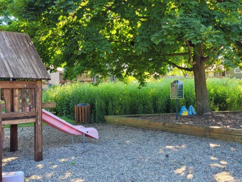 Pittsfield Sustainability Meadow