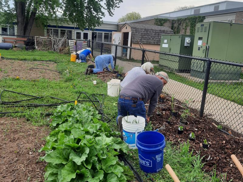 trinh pifer inter. garden SCHG 2