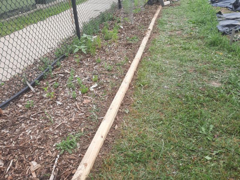 trinh pifer inter. garden SCHG