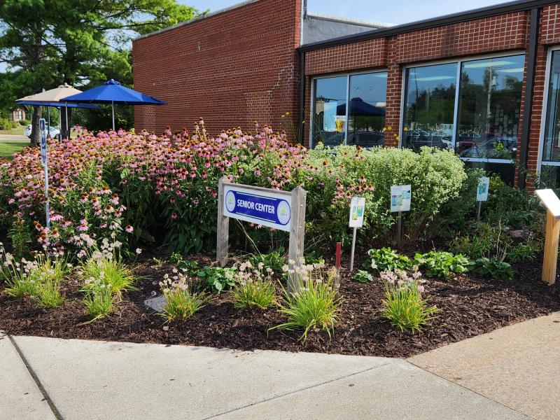 Pittsfield Garden 2022