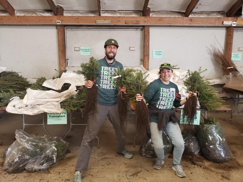 Doug and Karen with "Trees Trees Trees" shirts and piles of conifer transplants