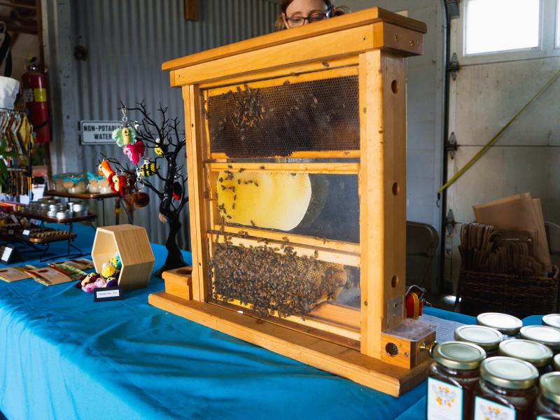 Bee Present Honey with live bees at the Expo