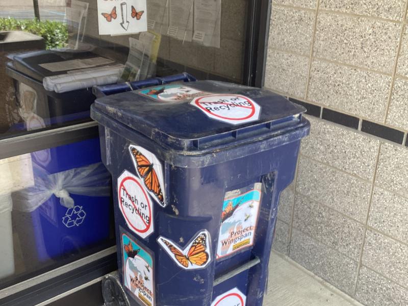 Milkweed Seed Collection bin outside of office