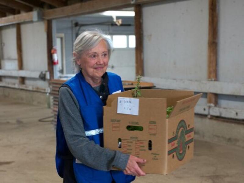 Volunteer carrying native plants in box (Photo Credit: Paul Michael Peters)