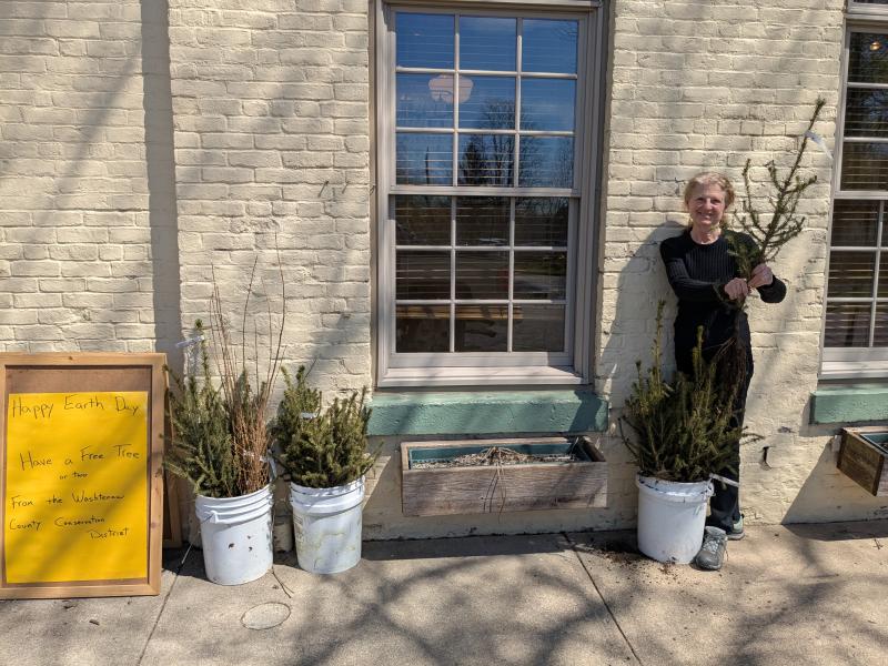 Volunteer giveaway of extra trees at the Ypsilanti Co-op