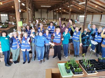 Volunteers at native plant distribution
