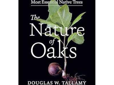 Nature of Oaks book cover