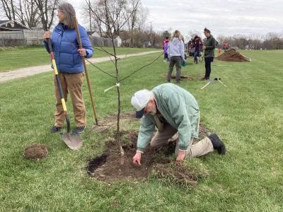 tree planting