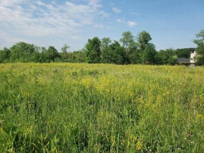 Beacon Springs Farm became verified in the Forest, Wetland and Habitat system
