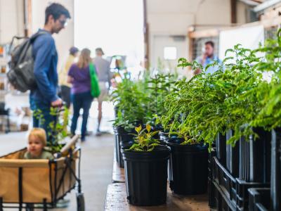 Attendees browsing nursery's plants sales