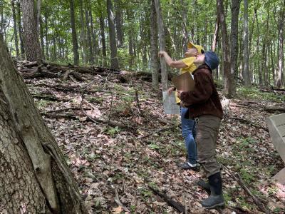 Identifying Trees in Woods