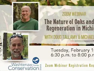 2022 Native Plant Speaker Series Webinars