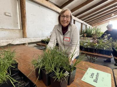 volunteer with plant