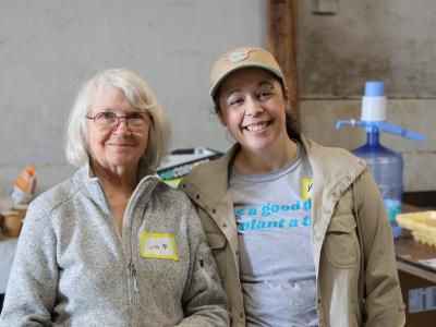 Superstar volunteers