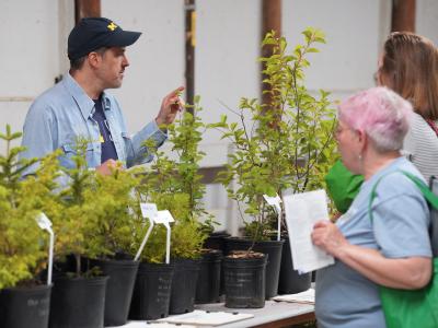 Nursery vendor, Shannon Brines, selling plants  (Photo Credit: Paul Michael Peters)
