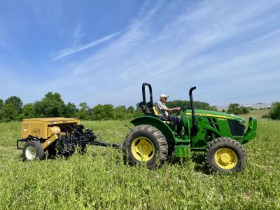 Pollinator planting