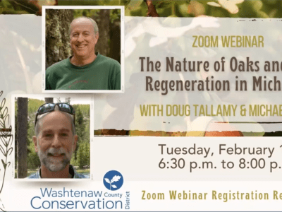 Nature of Oaks Webinar title frame