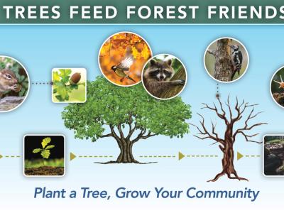 Trees Feed Forest Friends - plant a tree grow your community