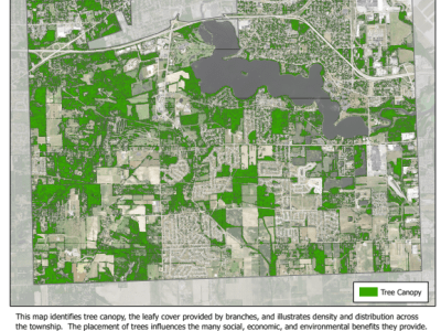 Ypsilanti Township: Tree Canopy
