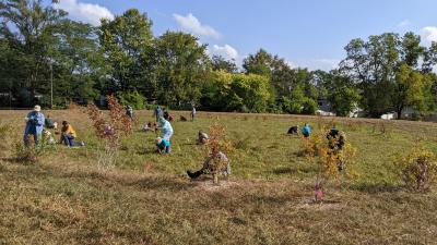 We the People Opportunity Farm - rain garden installation