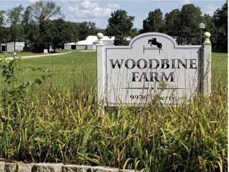 woodbine farm