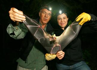 Kim Williams-Guillen and Merlin Tuttle hold a great false vampire bat