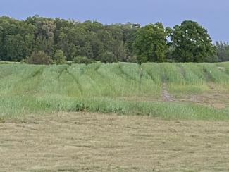 Farmer Cost Share - Cover Crops 