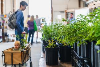 Attendees browsing nursery's plants sales