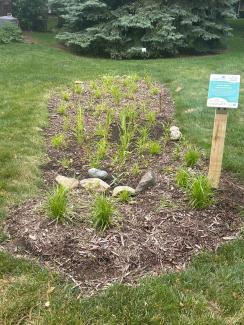 GCSCA Rain Garden