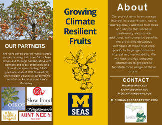 Agroforestry Project Summary