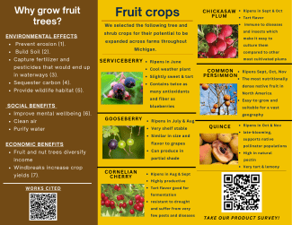 Agroforestry Project Details
