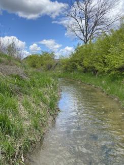 A bend of Paint Creek