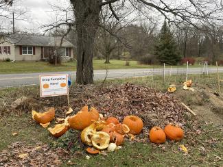 pile of broken pumpkins next to a sign that says "Drop Pumpkins Here"