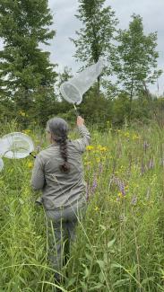 a person stands in a field with two butterfly nets