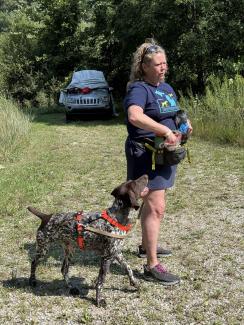 a person in a blue tshirt and shorts and a treat fanny pack stands in a field with a brown and white spotted dog on a leash that is waiting for a treat