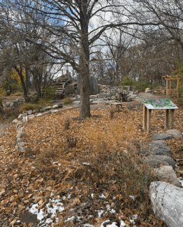 Leslie Science and Nature Center's SCHG garden fall 2025