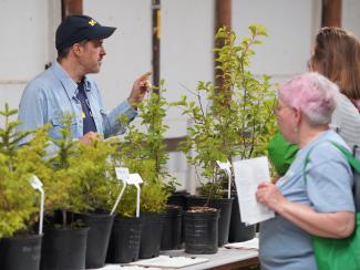 Nursery vendor, Shannon Brines, selling plants (Photo Credit: Paul Michael Peters)