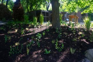 Leslie Science and Nature Center's SCHG garden spring 2024